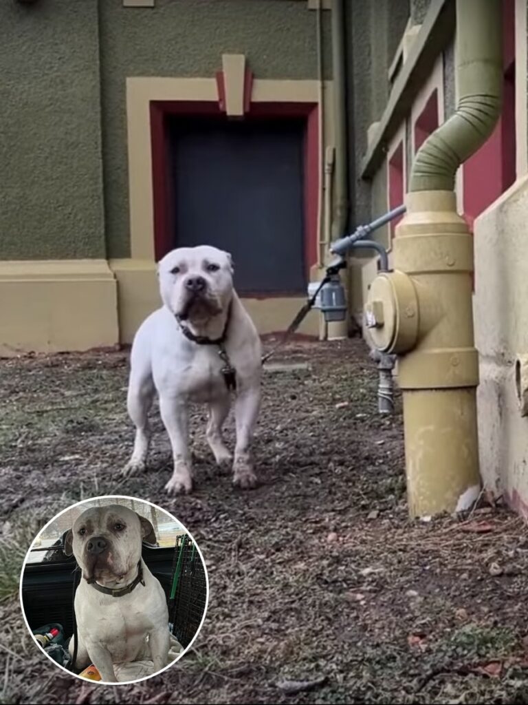 Eddie’s Journey to Joyful Freedom