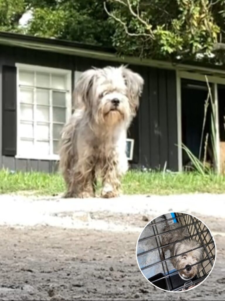 Valentina’s Journey of Trust and Transformation